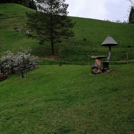 Hisa Pod Rogatcem